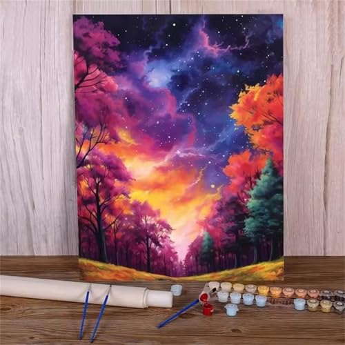 QiHon Malen Nach Zahlen Erwachsene Sternenhimmel, Baumlandschaft DIY Handgemalt Ölgemälde Leinwand Kits, Digitales DIY Ölgemälde Set mit 3-Pinseln und Acrylfarbe, DIY Rahmen 30x40cm von QiHon