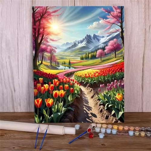 QiHon Malen Nach Zahlen Erwachsene Tulpen, Sonnenaufgang Malen Nach Zahlen für Anfänger, mit Pinsels und Acrylfarbe Als Geschenke und Heimdekoration, DIY Rahmen 40x50cm von QiHon