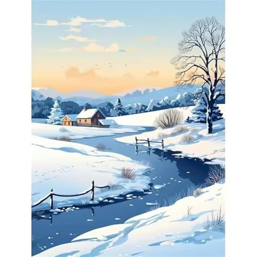 QiHon Malen Nach Zahlen Erwachsene Winterlandschaft, Schnee Malen Nach Zahlen für Anfänger, mit Pinsels und Acrylfarbe Als Geschenke und Heimdekoration, Ohne Rahmen 30x40cm von QiHon