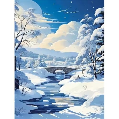 QiHon Malen Nach Zahlen Erwachsene Winterlandschaft, Schnee Malen Nach Zahlen für Anfänger, mit Pinsels und Acrylfarbe Als Geschenke und Heimdekoration, Ohne Rahmen 30x40cm von QiHon