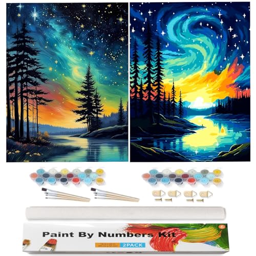 Qianbaiuk 2 Stück Sternenhimmel Malen Nach Zahlen Erwachsene Aurora Landschafts Malen Nach Zahlen DIY Acrylpigment für Art Home Decor(16x20 Zoll) von Qianbaiuk