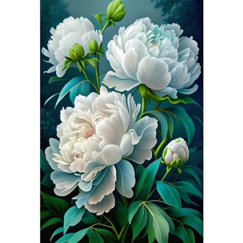 Qianbaiuk Diamond Painting Blumen-Diamond Painting Erwachsene,Diamant painting Erwachsene für Geschenk und Home Wand Dekoratione 12x16inch von Qianbaiuk