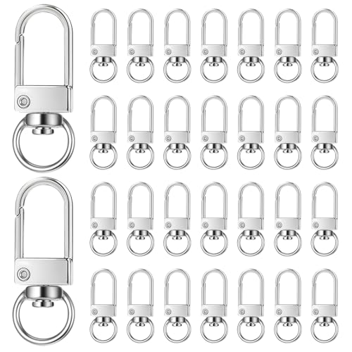 30 Stück Karabinerhaken mit Drehgelenk Schlüsselanhänger Karabiner Zinklegierung Schlüsselringe Klein Schlüsselanhänger Clip Haken Drehbare Krallenverschlüsse für DIY Keychain Stecker von Qianyu