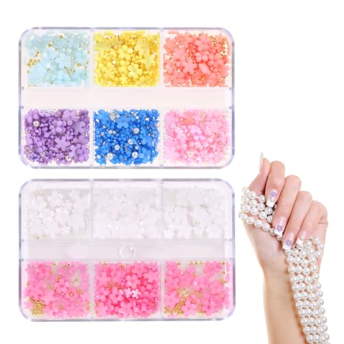 Qianyu 2 Kartons Nailart Dekoration, Blume Nagel Charms 3D Acryl Nail Gems Nagel Schmuck Dekoration Nagelanhänger Set Nagel Perlen Micro Nagelzubehör für Mädchen Frauen DIY von Qianyu