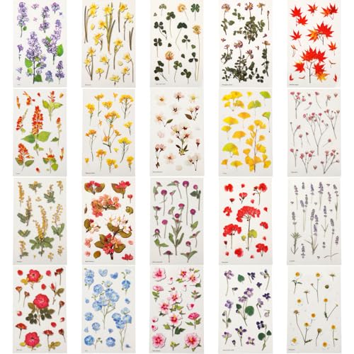 Qianyu 20 Blatt Blumen Scrapbooking Aufkleber Vintage Bunte Transparente Pflanzen Aufkleber für DIY Scrapbooking Tassen Flaschen Fotoalbum Tagebücher Grußkarten Lesezeichen DIY Arts Crafts Dekoration von Qianyu