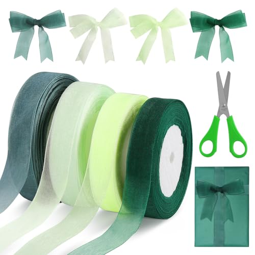 4 Stück Organzaband Grün, 45m x 2cm Breit Chiffon Geschenkbänder mit 1 Schere, Transparentes Organza Bänder, Schleifenband für Handgemachtes Heimwerken, Geschenkverpackung, Hochzeitsdekoration von Qichan