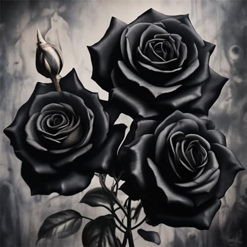 Diamond Painting Schwarze Rosen 5D Diamant Painting Bilder Set,DIY Vierkant 60x60cm Diamant Malen nach Zahlen Kit für Erwachsene Full Strass Stickerei Kreuzstich Kunst Wohn-Schlafzimmer Wanddekor von Qijinn