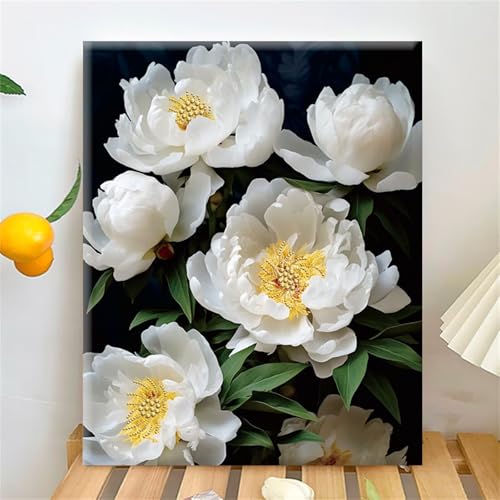 Diamond Painting für Erwachsene,5D Weiße Pfingstrose Diamant Painting Bilder Kit DIY Runder Vollbohrer Strass Malen nach Zahlen Blumen Diamant Malerei Kit für Anfänger Home Büro Wall Dekor 80x100cm von Qijinn