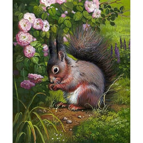 Diamond Painting für Erwachsene,5D Wiesenhörnchen Diamant Painting Bilder Kit DIY Runder Vollbohrer Strass Malen nach Zahlen Blume Tier Diamant Malerei Kit für Anfänger Home Büro Wall Dekor 40x60cm von Qijinn