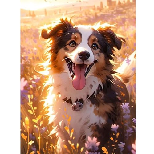 Qijinn 5D Hund Diamond Painting Kit,Diamant Painting Bilder für Erwachsene Anfänger DIY Runder Vollbohrer Stickerei Tier Diamond Painting Arts Craft für Home Wand Decor 40x60cm von Qijinn