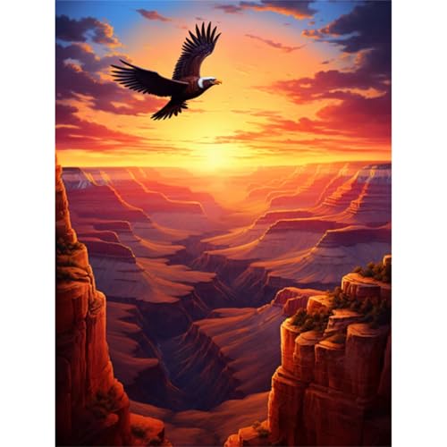 Qijinn Canyon-Sonnenuntergang Diamond Painting Erwachsene Malerischer Adler Diamant Painting Bilder Kit Full 5D DIY Vierkant Crystal Strass Stickerei Diamant Kunst Home Büro Wall Dekoration 40x60cm von Qijinn