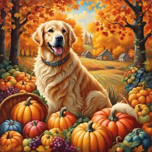 Qijinn Diamond Painting Kits für Erwachsene,Herbstkürbisse Labrador DIY 5D Diamant Malerei Set,Voll Runder Bohrer Kristall Strass Dot Stickerei Kreuzstich Art für Home Wall Décor Geschenk 30x30cm von Qijinn