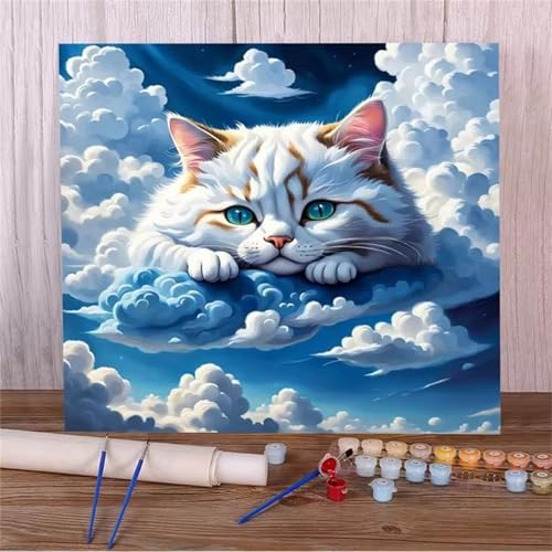 Qijinn Himmelswolkenkatze Malen nach Zahlen Erwachsene mit Rahmen Malen Nach Zahlen Kits DIY Acrylmalerei, mit Pinseln auf Leinwand Handgemaltes Ölgemälde Set Heimdekoration Geschenk,60x60cm von Qijinn