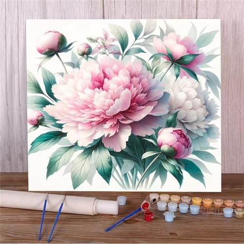 Qijinn Rosa Pfingstrosenblüten Malen nach Zahlen Erwachsene mit Rahmen Malen Nach Zahlen Kits DIY Acrylmalerei, mit Pinseln auf Leinwand Handgemaltes Ölgemälde Set Heimdekoration Geschenk,40x40cm von Qijinn