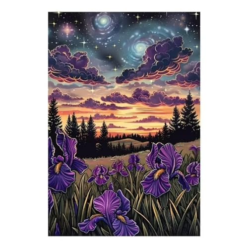 Qijinn Sternennacht Diamond Painting Erwachsene Lila Schwertlilien Diamant Painting Bilder Kit Full 5D DIY Vierkant Crystal Strass Stickerei Diamant Kunst Home Büro Wall Dekoration 40x60cm von Qijinn