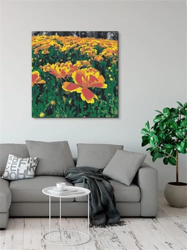 Qijinn Wildblumenfeld Malen nach Zahlen Erwachsene mit Rahmen Malen Nach Zahlen Kits DIY Acrylmalerei, mit Pinseln auf Leinwand Handgemaltes Ölgemälde Set Heimdekoration Geschenk,30x30cm von Qijinn