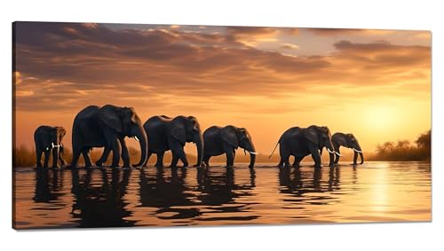 Malen Nach Zahlen Erwachsene Elefant Malen Nach Zahlen XXL 50x100cm, Paint by Numbers Sonnenaufgang Malen Nach Zahlen Kinder, DlY Handgemalt Olgemalde mit Pinseln und Acrylfarbe, Zimmer Deko Q-121 von Qinqhuag