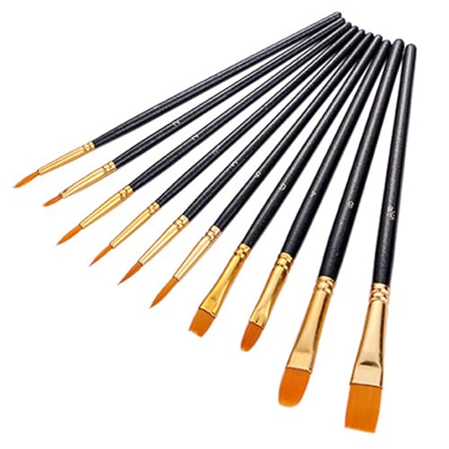 Paint Brushes Nylon,10 Pack Künstler Pinsel mit schrägen Kopf Malerei Pinsel Set für Aquarell Öl Acryl Handwerk Gesicht Malerei Schwarz von Qinsky