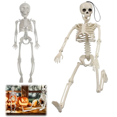 Halloween Skelett, 28+40cm Mini Skelett Figuren, Halloween Skelett Dekoration, Halloween Menschliches Skelett, Halloween Skelettmodell für Spukhaus Zubehör Partygeschenken Party Dekorationen von Qunkun