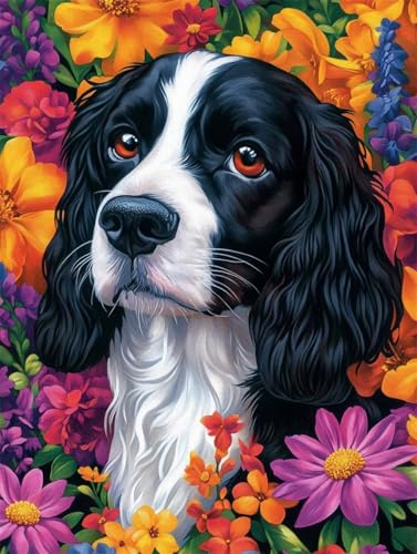 DIY 5D Diamant Malerei Set Bohren Voll Springer Spaniel Flower Bild Diamond Painting Crystal Strass Diamant Gemälde Arts Craft Perfekt Für Entspannung Und Wand Decor Platz Drill 55x75cm AC2797 von Quxaoqiao