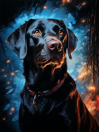 Quxaoqiao DIY 5D Erwachsene und Anfänger Diamant Malerei Set Bohren Voll Labrador Hund Bild Diamond Painting Gemälde Arts Craft Perfekt Für Entspannung Und Wand Decor Platz Drill 35x45cm AB2231 von Quxaoqiao