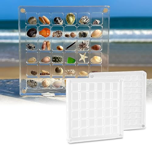 RAFIYU 2 Stück Acrylic Magnetic Seashell Display Box, Muschel-Displaybox, Muschel Sammelbox, Klare Aufbewahrungsbox für Muscheln, Perlen, Diamanten, Edelsteine(36 Grids + 64 Grids) von RAFIYU