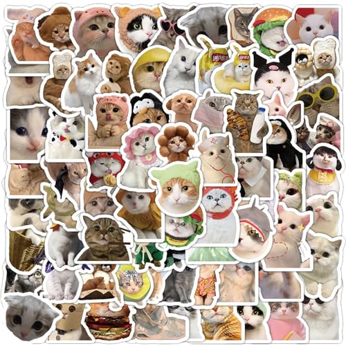 200 Stück Cute Katzen Sticker,Lustiges Katzen Aufkleber Set, süße Katzen Aufkleber,Wasserfeste Vinyl-Aufkleber,Kann auf Bücher/Flaschen/Kühlschrank/Gepäck/Handys/Skateboards usw. geklebt werden von RANYAKE