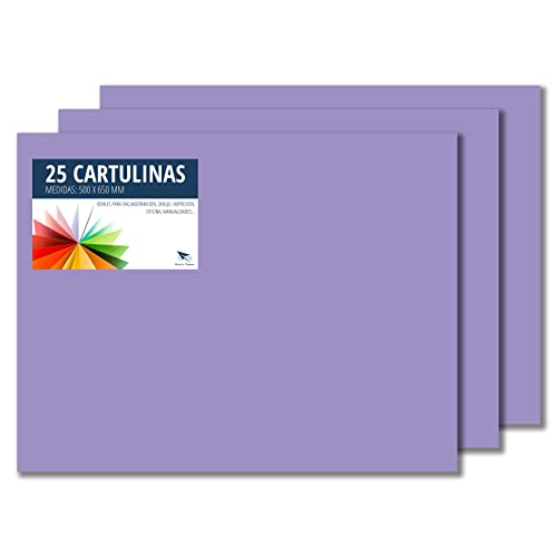 RAYLU PAPER – Tonpapier 50 x 65 cm, 25 Stück Kartonpapier 180g/m², 210 x 297 mm, professionelle farbige Kartons für Büro, Kopierpapier, Buntes Papier zum Basteln (Violett) von RAYLU PAPER