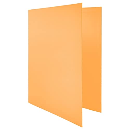 Raylu Paper® - 4 x D-Ringbuch 25 mm, A4-Ordner mit Ringen zur Aufbewahrung von Dokumenten, A4 Größe 33,5 cm hoch x 26 cm breit und 4 cm dicker Rücken (Pastellorange) von RAYLU PAPER