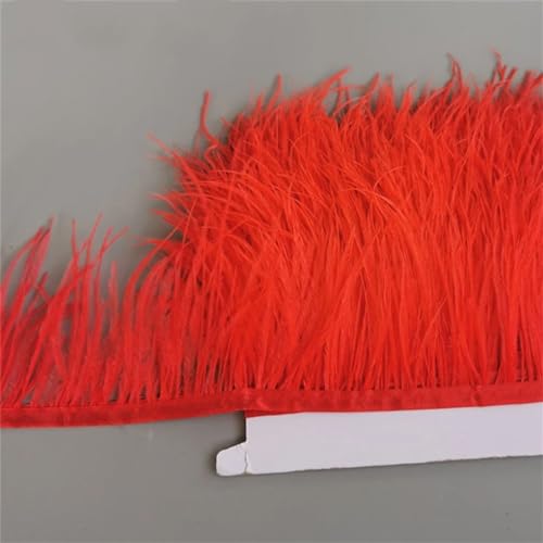 Dekorative Straußenfeder-Bordüre, Fransenbänder für Kleid, Kleidung, Bastelzubehör, Rot, 8–13 cm, 10 m von REHJJDFD