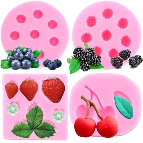 RFGHAC Blueberry Raspberry Cherry Strawberry Cake Fondant Moulds Berry Series Sugarcraft Gumpaste Silicone Mold for Chocolate Candy Cupcake Topper Decorating Polymer Clay Resin Set of 4 von RFGHAC