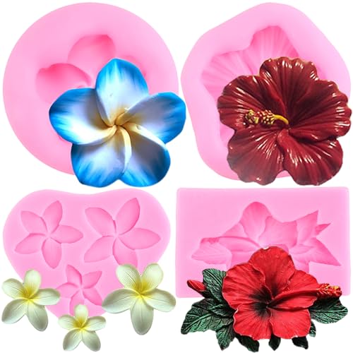 RFGHAC Plumeria Blume Silikonform Hibiskus Blume Fondant Formen für Kuchen Dekorieren Cupcake Topper Schokolade Süßigkeiten Polymer Clay Gum Paste Set von 4 von RFGHAC