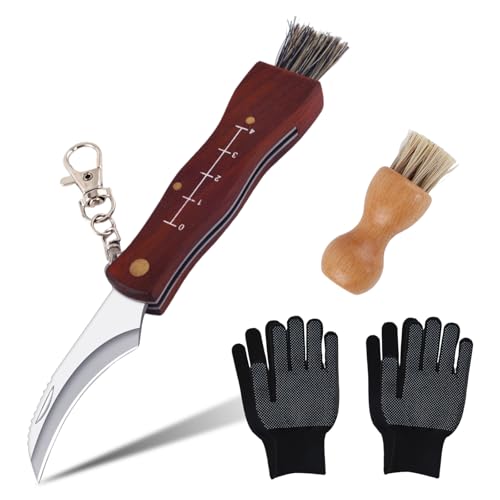 RICKMASK 6pcs Pilzmesser mit Bürste,Taschenmesser Klappmesser Edelstahl Pilzsammler Messer,mit Handschuhe Pilzbürste,für Champignon Trüffel, Klappbar Schwammerlmesser von RICKMASK