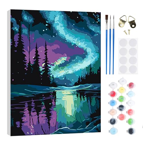 RICUVED Aurora Malen nach Zahlen Set für Erwachsene Kinder mit Rahmen -Landschaft Digitale Ölmalerei, DIY Kunstkit Mit 3 - Pinseln und Acrylfarbe knitterfreie leinwand Kit Wandkunst 20x30cm von RICUVED