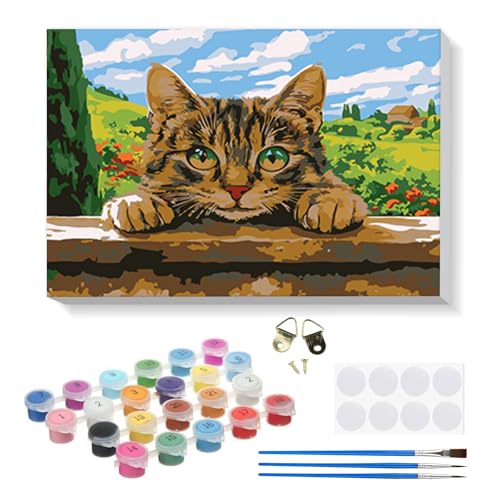 RICUVED DIY Katze Malen nach Zahlen Set für Erwachsene Kinder mit Rahmen - Tiere Paint by Numbers Set Mit Ölgemälde für Anfänger, Leinwand, Pinsel und Farben Wanddekoration 20x30cm von RICUVED