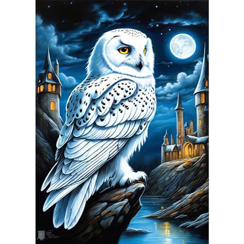 RICUVED Eule Diamond Painting Erwachsene, 5D Hogwarts Diamant Painting Bilder Erwachsene, DIY Diamond Painting Bilder Harry Diamant Malerei Set für Wanddekoration 30x40cm von RICUVED