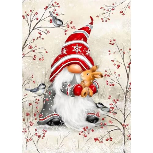 RICUVED Gnomes Diamond Painting Bilder, 5D Weihnachten Diamant Painting Bilder Erwachsene Diamant Malerei Bilder Set Full Drill Winter Diamond Painting Cross Stickerei Malerei Set 30x40cm von RICUVED