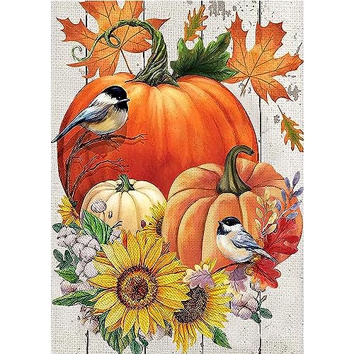 RICUVED Herbst Diamond Painting Erwachsene, 5D Kürbis Diamant Painting Bilder Erwachsene, DIY Diamond Painting Bilder Vogel Diamant Malerei Set für Wanddekoration 30x40cm von RICUVED