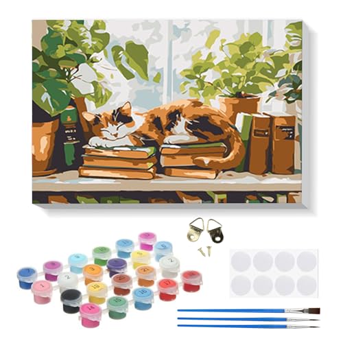 RICUVED Katze Malen nach Zahlen Set 20x30cm für Erwachsene Kinder mit Rahmen -Buch Digitale Ölmalerei Kits, DIY Kunstkit mit Farben, Pinsel und Holzrahmen, für Anfänger und Hobbykünstler von RICUVED