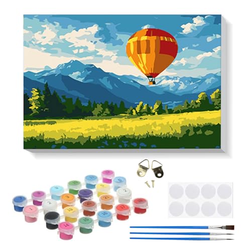 RICUVED Landschaft Malen nach Zahlen Set für Erwachsene Kinder mit Rahmen -Heißluftballon Digitale Ölmalerei, DIY Kunstkit Mit 3 Pinseln und Acrylfarbe knitterfreie leinwand Kit Wandkunst 20x30cm von RICUVED