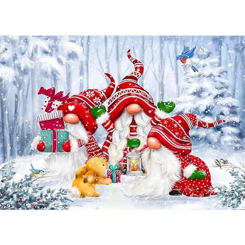 RICUVED Weihnachten Diamond Painting Set,5D Diamant Painting Bilder Erwachsene Gnomes Diamond Painting Kinder, Full Drill Diamant Malerei Bilder Winter Diamond Painting für Home Dekor 30x40cm von RICUVED