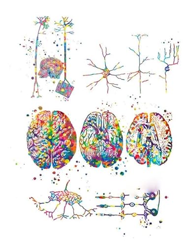 RIMURA Neurowissenschaft Kunst Neurologie Poster Anatomisches Gehirn Nervenzelle Synapse Neurologe Büro Kunst Leinwand Malerei Klinik Wanddekoration (Color : 6, Size : 30X40cm Unframed) von RIMURA