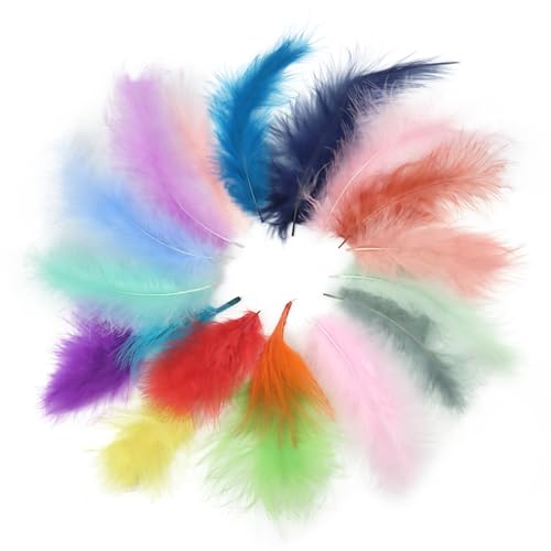 RISVOWO Federn Bunt zum Basteln, 200 Stück Feather, Federn Ostern, Traumfänger- Federn, Deko Federn Ostern, Geeignet für Verschiedene DIY-Bastelarbeiten, Traumfänger, Hochzeiten, Partydekorationen von RISVOWO