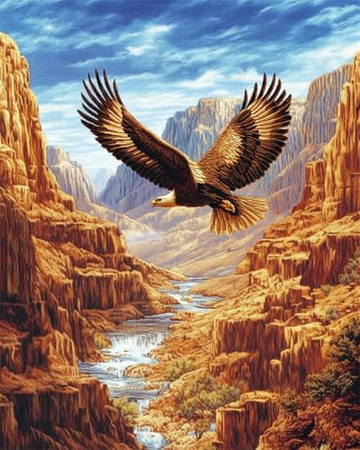 RKFLGEW DIY Stickperlen Adler Tier Perlenstickerei Kit Canyon Landschaft Nadelspitze Gobelin Kit Perlenstickerei Nadelarbeit Kit Perlen Kreuzstich Kit 30x40cm von RKFLGEW