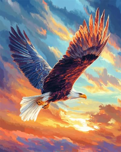 RKFLGEW DIY Stickperlen Adler Tier Perlenstickerei Set Blauer Himmel Und Weiße Wolken Nadelspitze Gobelin Set Perlenstickerei Nadelarbeit Set Perlen Kreuzstich Set 50x70cm von RKFLGEW