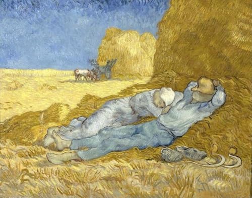 RKFLGEW Diy Stickset 《Die Siesta》 Perlenstickerei Set Van Gogh Ölgemälde Kreuzstich Gestempelte Sets Kreuzstich Stickset Handarbeitsset 50x70cm von RKFLGEW