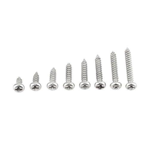 RKODRSMG 200 Stücke M3 Edelstahl Blechschrauben Set Senkkopf Holzschraube Flachkopf Kreuzschraube Möbelbeschläge Hardware(Countersunk Head) von RKODRSMG