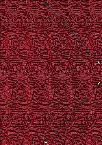 RNKVERLAG 46205 - Elegante Konferenz- und Ordnungsmappe „Style Sunrise Red“, 340 x 245 mm, für DIN A4, 9 Fächer, 1 Stück von RNKVERLAG