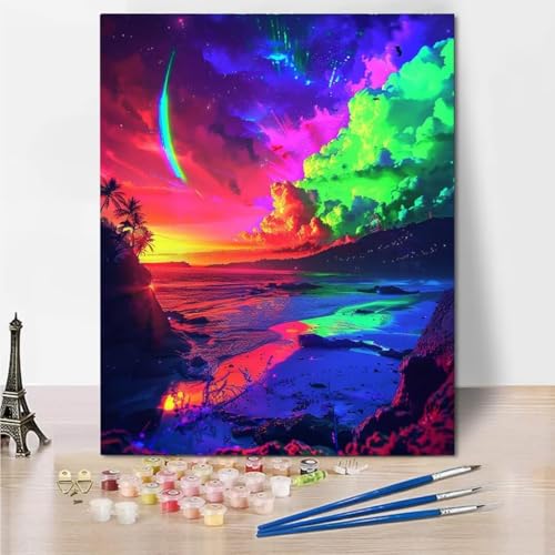 Malen Nach Zahlen Bastelset Erwachsene, Anfänger Malen Nach Zahlen zur Northern Lights Beach Bastelset Erwachsene Malen Nach Zahlen für Kinder Pinsel und Acrylfarben, 30x40cm Heimdekoration 6043-G von RNXAOPEN