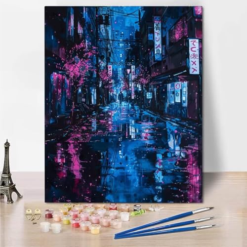 RNXAOPEN DIY Malen Nach Zahlen Erwachsene Japan Street Erwachsene Malen Nach Zahlen Kits auf Leinwand, Malen Nach Zahlen Kunsthandwerk Geschenk für Home Wall Deco 40x50cm rahmenlos 4112-5 von RNXAOPEN